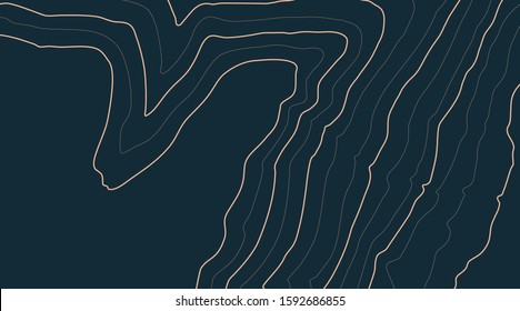 The stylized height of the topographic contour in lines and contours. The concept of a conditional geography scheme and the terrain path. Vector illustration.