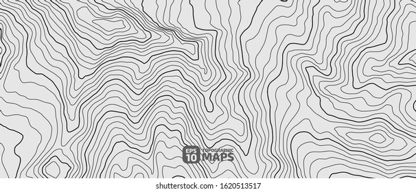 The stylized height of the topographic contour in lines and contours. The concept of a conditional geography scheme and the terrain path. Black on Gray. Ultra wide size. Vector illustration.