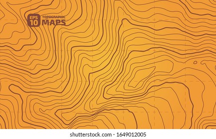 The stylized height of the topographic contour in lines and contours. The concept of a conditional geography scheme and the terrain path. Vector illustration.