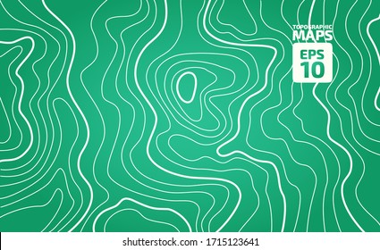 The stylized height of the topographic contour in lines and contours. The concept of a conditional geography scheme and the terrain path. Vector illustration.
