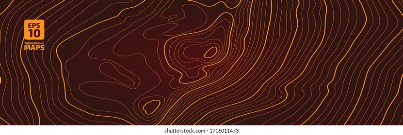 The stylized height of the topographic contour in lines and contours. The concept of a conditional geography scheme and the terrain path. Vector illustration.