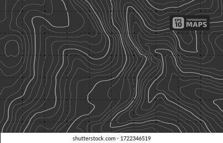 The stylized height of the topographic contour in lines and contours. The concept of a conditional geography scheme and the terrain path. Vector illustration.
