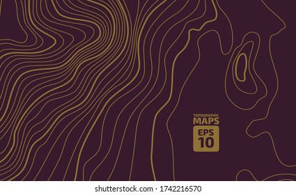 The stylized height of the topographic contour in lines and contours. The concept of a conditional geography scheme and the terrain path. Vector illustration.