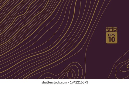 Altura estilizada del contorno topográfico en líneas y contornos. El concepto de un esquema geográfico condicional y el camino del terreno. Ilustración vectorial.