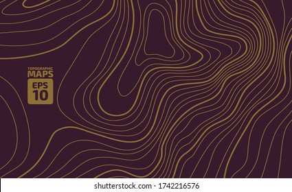 The stylized height of the topographic contour in lines and contours. The concept of a conditional geography scheme and the terrain path. Vector illustration.