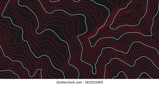 Altura estilizada del contorno topográfico en líneas y contornos. El concepto de un esquema geográfico condicional y el camino del terreno. Ilustración vectorial.