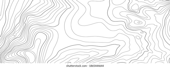 The stylized height of the topographic contour in lines and contours. The concept of a conditional geography scheme and the terrain path. Gray on white. Ultra wide size. Vector illustration.