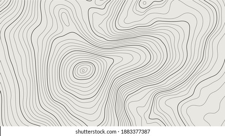 The stylized height of the topographic contour in lines and contours. Marine watershed. The concept of a conditional geography scheme and the water path. Black and Gray colored. Vector illustration.