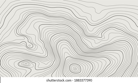 The stylized height of the topographic contour in lines and contours. Marine watershed. The concept of a conditional geography scheme and the water path. Black and Gray colored. Vector illustration.