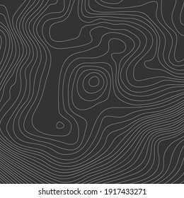 Altura estilizada del contorno topográfico en líneas y contornos. El concepto de un esquema geográfico condicional y el camino del terreno. Ilustración vectorial.