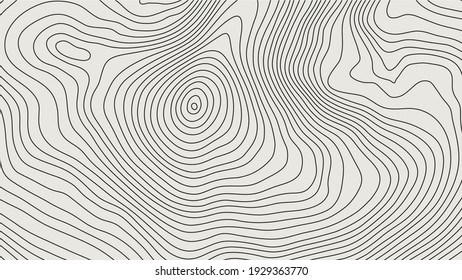 The stylized height of the topographic contour in lines and contours. The concept of a conditional geography scheme and the terrain path. Vector illustration.