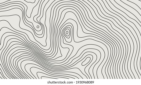 The stylized height of the topographic contour in lines and contours. The concept of a conditional geography scheme and the terrain path. Vector illustration.