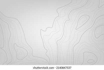 The stylized height of the topographic contour in lines and contours. The concept of a conditional geography scheme and the terrain path. Vector illustration.
