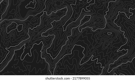 The stylized height of the topographic contour in lines and contours. The concept of a conditional geography scheme and the terrain path. White on black. Wide size. Vector illustration.