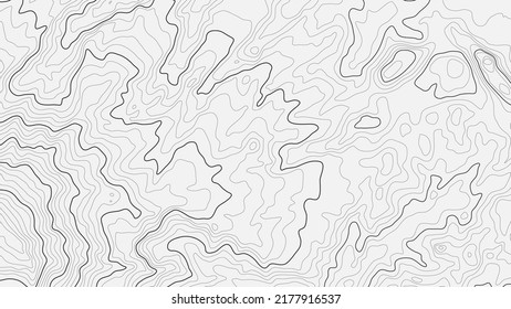 Altura estilizada del contorno topográfico en líneas y contornos. El concepto de un esquema geográfico condicional y el camino del terreno. Negro sobre blanco. Gran tamaño. Ilustración vectorial.