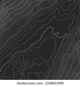 The stylized height of the topographic contour in lines and contours. The concept of a conditional geography scheme and the terrain path. White on black. 1x1 size. Vector illustration.
