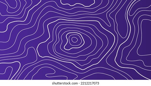 The stylized height of the topographic contour in lines. Stroke calligraphy. The concept of a conditional geography scheme and the terrain path. Modern Style. Vector illustration.