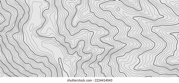 The stylized height of the topographic contour in lines and contours. The concept of a conditional geography scheme and the terrain path. Black colour streaks on gray background. Vector illustration.