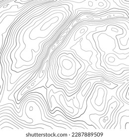 The stylized height of the topographic contour in lines and contours. Сoncept of a conditional geography scheme and the terrain path. Black stroke on white background. 1x1 size. Vector illustration.