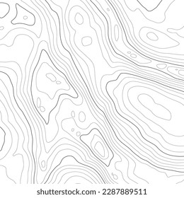 The stylized height of the topographic contour in lines and contours. Сoncept of a conditional geography scheme and the terrain path. Black stroke on white background. 1x1 size. Vector illustration.