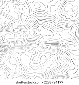 The stylized height of the topographic contour in lines and contours. Сoncept of a conditional geography scheme and the terrain path. Black stroke on white background. 1x1 size. Vector illustration.