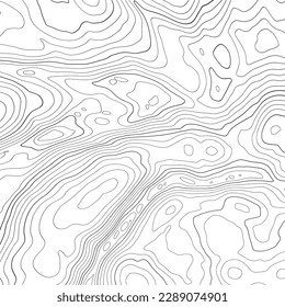 The stylized height of the topographic contour in lines and contours. Сoncept of a conditional geography scheme and the terrain path. Black stroke on white background. 1x1 size. Vector illustration.