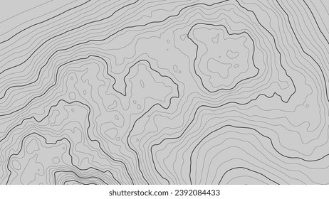 The stylized height of the topographic contour in lines and contours. The concept of a conditional geography scheme and the terrain path. Black colour streaks on gray background. Vector illustration.