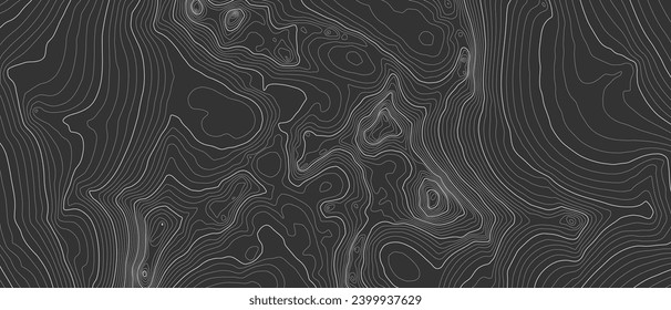 Stylized height of a topographic contour in lines and contours. Concept of a conditional geography scheme and the terrain path. Black  White. Ultra wide size. Vector Illustration