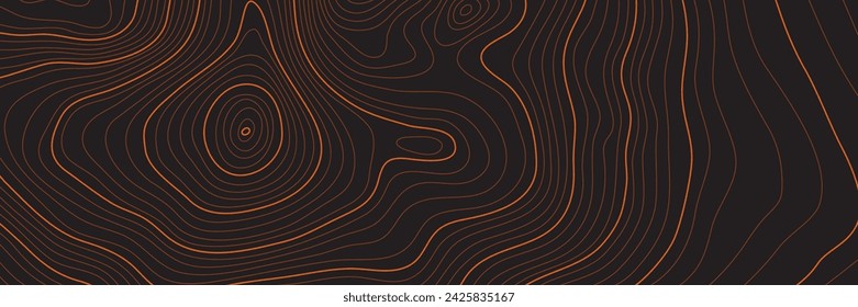 Altura estilizada del contorno topográfico en líneas y contornos. El concepto de esquema geográfico condicional y la trayectoria del terreno. Tamaño ultra ancho. Ilustración vectorial.