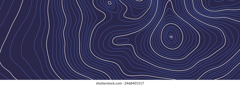 The stylized height of the topographic contour in lines and contours. The concept of a conditional geography scheme and the terrain path. Ultra wide size canvas. Vector illustration