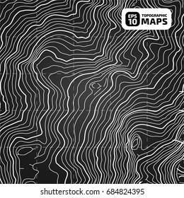 The stylized height of the topographic contour in lines and contours. The concept of a conditional geography scheme and the terrain path. Vector illustration