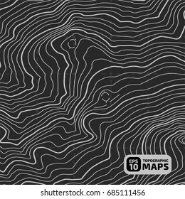 The stylized height of the topographic contour in lines and contours. The concept of a conditional geography scheme and the terrain path. Vector illustration