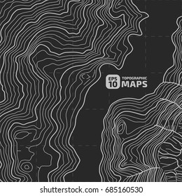 The stylized height of the topographic contour in lines and contours. The concept of a conditional geography scheme and the terrain path. Vector illustration
