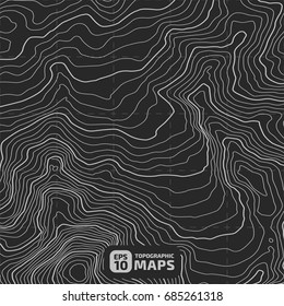 The stylized height of the topographic contour in lines and contours. The concept of a conditional geography scheme and the terrain path. Vector illustration