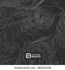 The stylized height of the topographic contour in lines and contours. The concept of a conditional geography scheme and the terrain path. Vector illustration