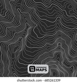 The stylized height of the topographic contour in lines and contours. The concept of a conditional geography scheme and the terrain path. Vector illustration