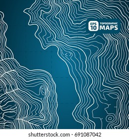 The stylized height of the topographic contour in lines and contours. The concept of a conditional geography scheme and the terrain path. Vector illustration