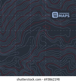 The stylized height of the topographic contour in lines and contours. The concept of a conditional geography scheme and the terrain path. Vector illustration