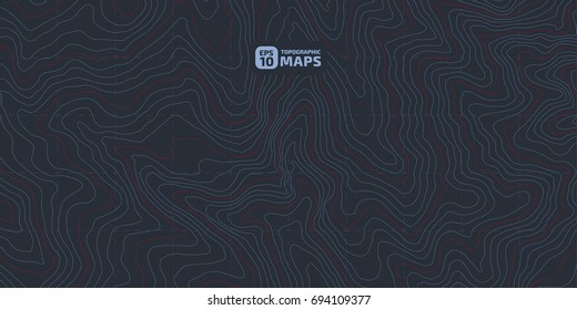 The stylized height of the topographic contour in lines and contours. Blue Background. The concept of a conditional geography scheme and the terrain path. Vector illustration