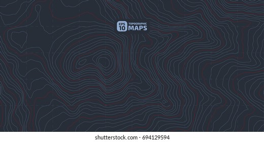 The stylized height of the topographic contour in lines and contours. Blue Background. The concept of a conditional geography scheme and the terrain path. Vector illustration
