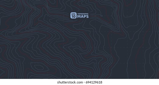 The stylized height of the topographic contour in lines and contours. Blue Background. The concept of a conditional geography scheme and the terrain path. Vector illustration