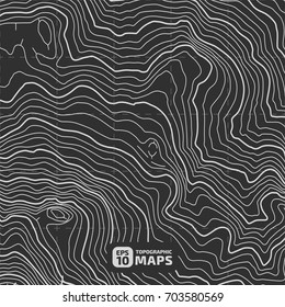 The stylized height of the topographic contour in lines and contours. The concept of a conditional geography scheme and the terrain path. Vector illustration