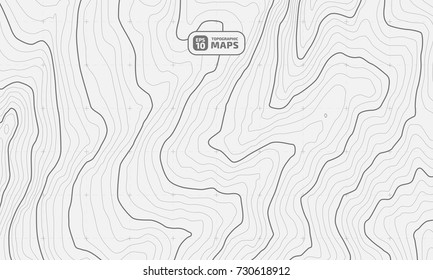 The stylized height of the topographic contour in lines and contours. The concept of a conditional geography scheme and the terrain path. Vector illustration.