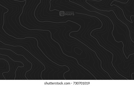 The stylized height of the topographic contour in lines and contours. The concept of a conditional geography scheme and the terrain path. Vector illustration.