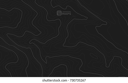 The stylized height of the topographic contour in lines and contours. The concept of a conditional geography scheme and the terrain path. Vector illustration.