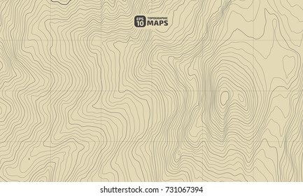 The stylized height of the topographic contour in lines and contours. The concept of a conditional geography scheme and the terrain path. Vector illustration.