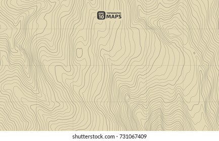 The stylized height of the topographic contour in lines and contours. The concept of a conditional geography scheme and the terrain path. Vector illustration.