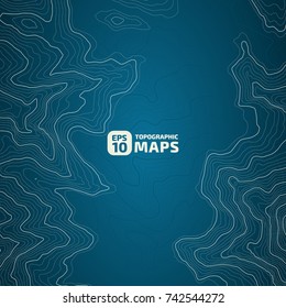 The stylized height of the topographic contour in lines and contours. The concept of a conditional geography scheme and the terrain path. Vector illustration.