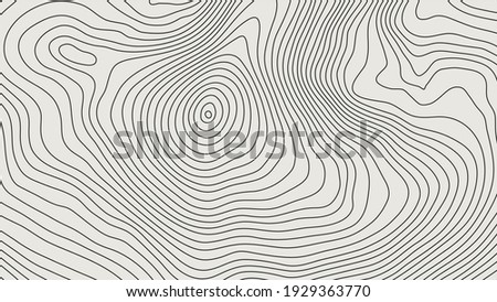 The stylized height of the topographic contour in lines and contours. The concept of a conditional geography scheme and the terrain path. Vector illustration.