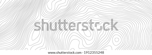 The stylized height\
of the topographic contour in lines and contours. The concept of a\
conditional geography scheme and the terrain path. Ultra wide size.\
Vector illustration.